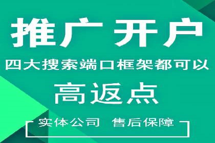 某电商平台的SEM推广实战经验
